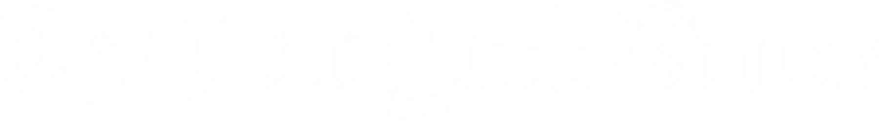 The New York Times Logo